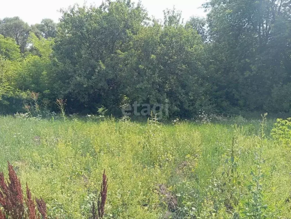 Участок в Белгородская область, Старооскольский городской округ, с. ... - Фото 1