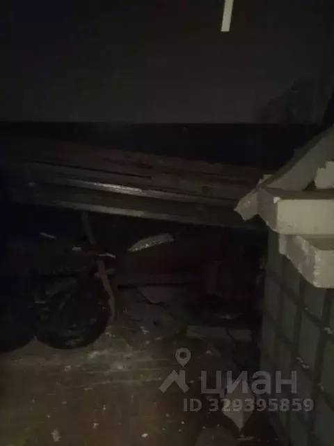 Помещение свободного назначения в Мурманская область, Апатиты ул. ... - Фото 1