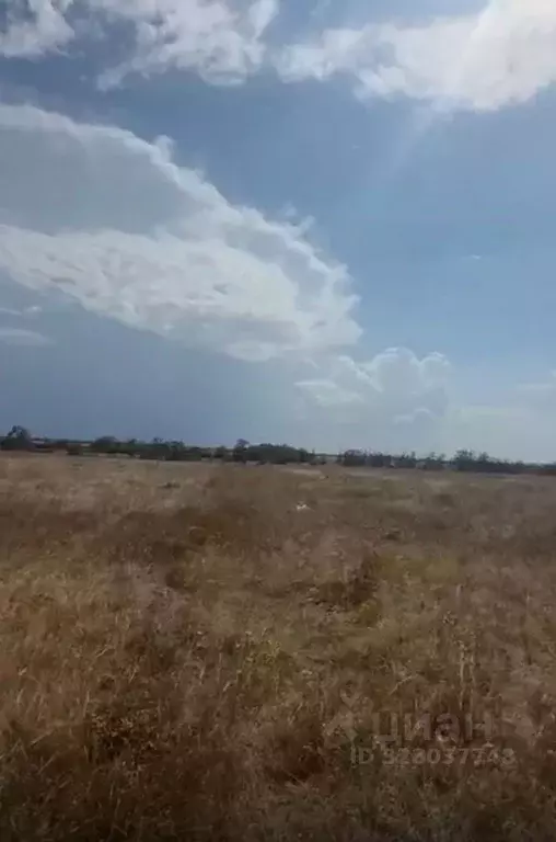 Участок в Крым, Сакский район, с. Фрунзе  (10.0 сот.) - Фото 2
