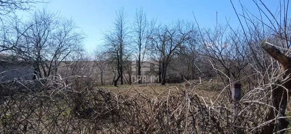 Участок в Владимирская область, Суздальский район, Боголюбовское ... - Фото 1