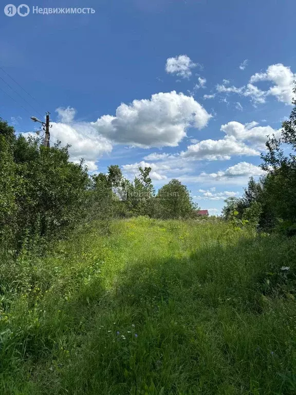 Участок в Андреевское, село Андреевское, Овражная улица (30 м) - Фото 1