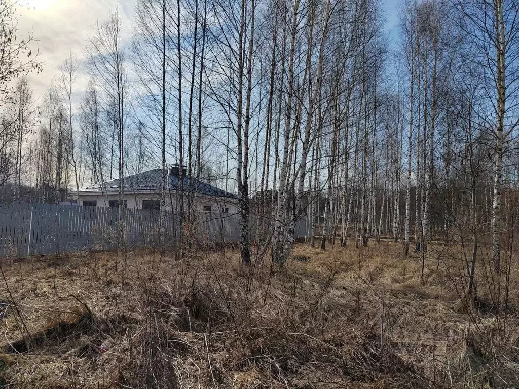 Участок в Московская область, Чехов муниципальный округ, пос. ... - Фото 0