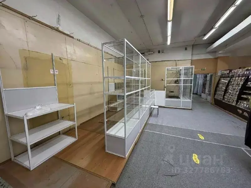 Помещение свободного назначения в Алтайский край, Барнаул городской ... - Фото 2