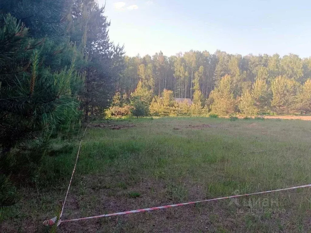 Участок в Владимирская область, Судогодский район, Лавровское ... - Фото 0