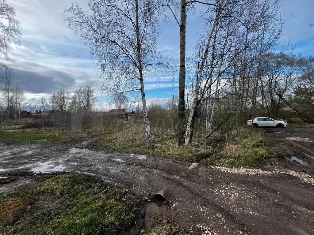 Участок в Новгородская область, Боровичи ул. Салтыкова-Щедрина, 9 ... - Фото 1