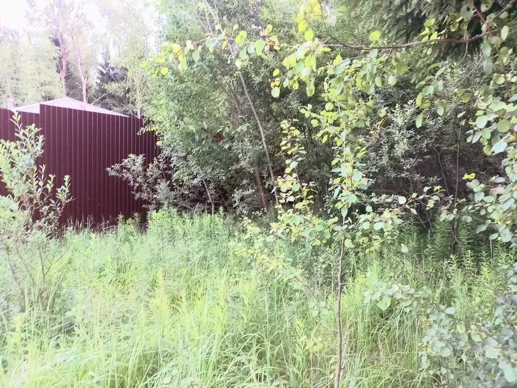 Участок в Московская область, Истра муниципальный округ, д. Турово, ... - Фото 2