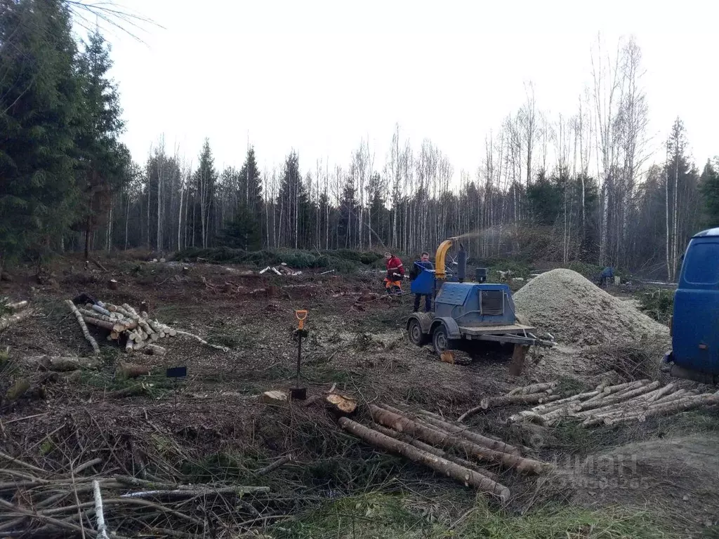 Участок в Московская область, Клин городской округ, Электрощит СНТ 443 ... - Фото 1