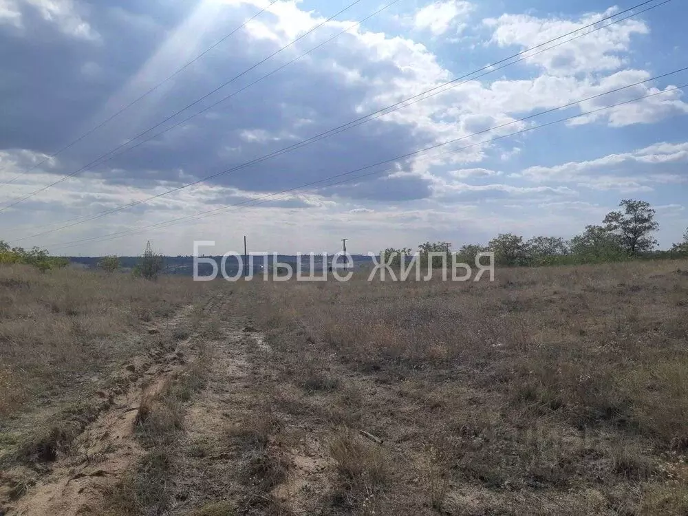 Участок в Волгоградская область, Городищенский район, Царицынское ... - Фото 0