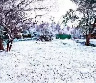 Дом в Ярославль, СНТ Нефтяник-1 (15 м) - Фото 2