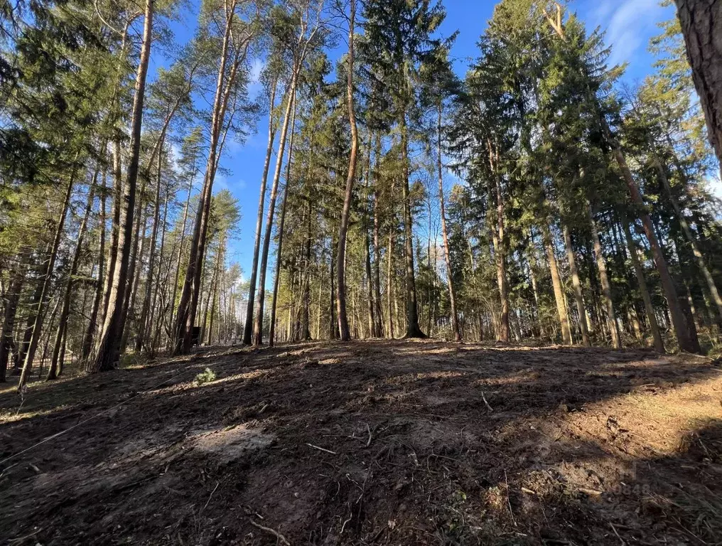 Участок в Московская область, Чехов  (12.0 сот.) - Фото 1