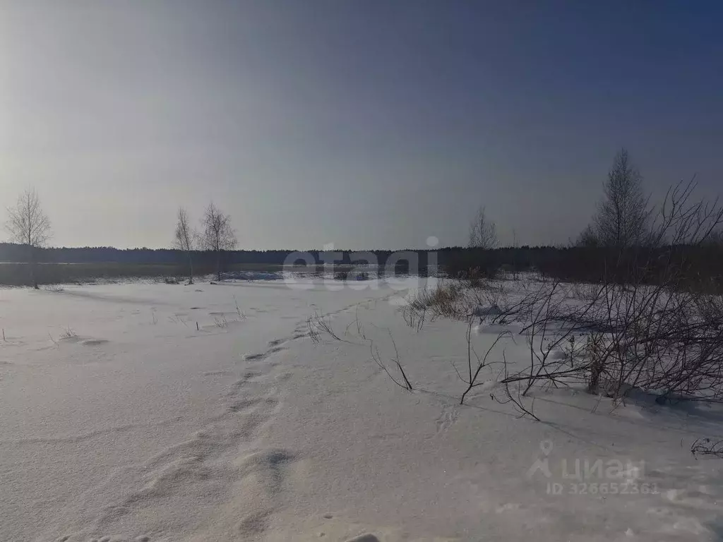 Участок в Курганская область, Курган Мостовик СНТ, ул. 14-я (5.0 сот.) - Фото 1