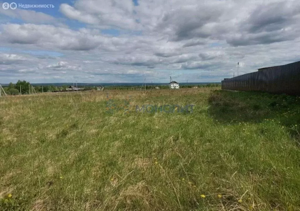 Участок в Нижегородская область, Богородский муниципальный округ, ... - Фото 1