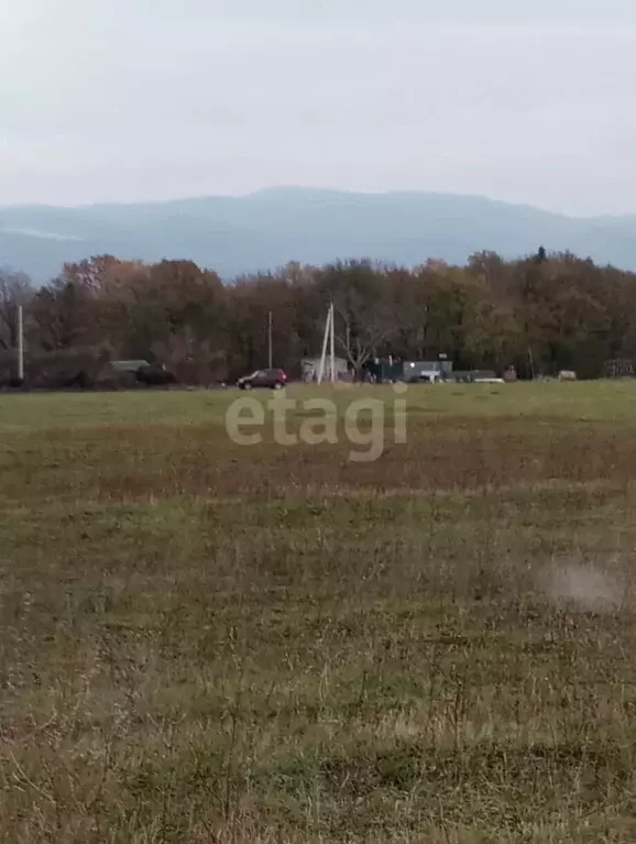 Участок в Краснодарский край, Новороссийск городской округ, ... - Фото 1