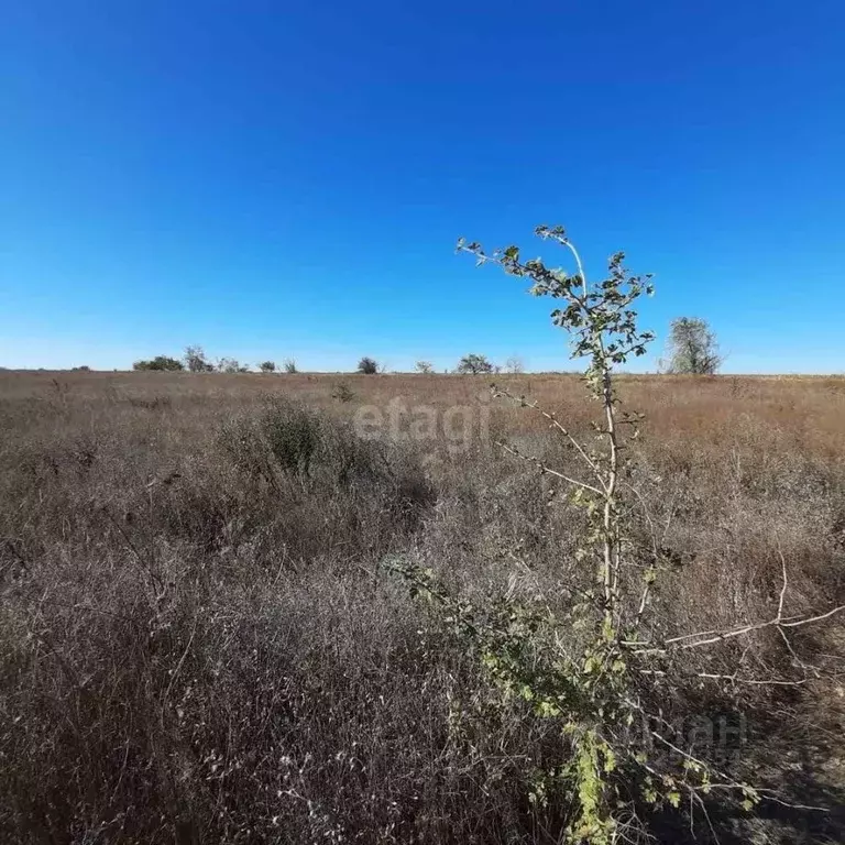 Участок в Крым, Симферопольский район, с. Мирное  (6.2 сот.) - Фото 1