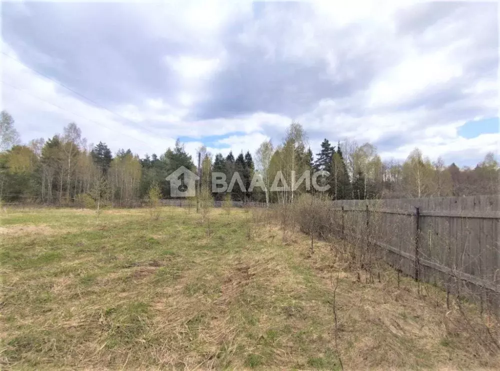 Участок в Владимирская область, Собинский район, с. Березники (19.16 . - Фото 1