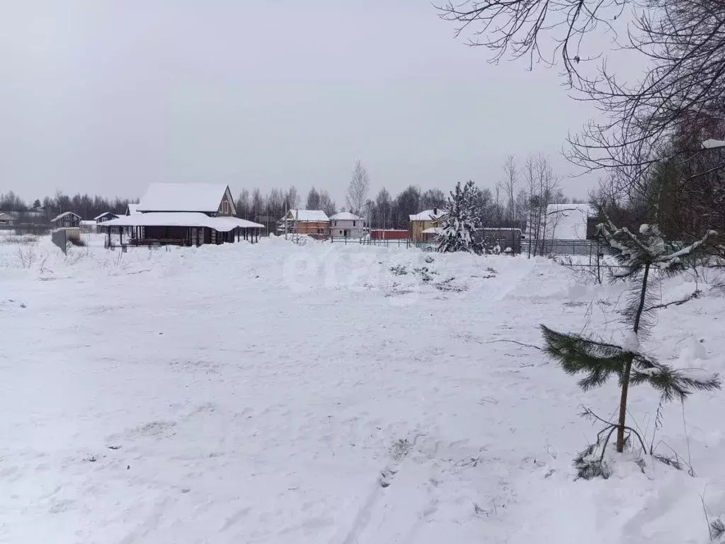 Участок в Ярославская область, Ярославский муниципальный округ, ... - Фото 1