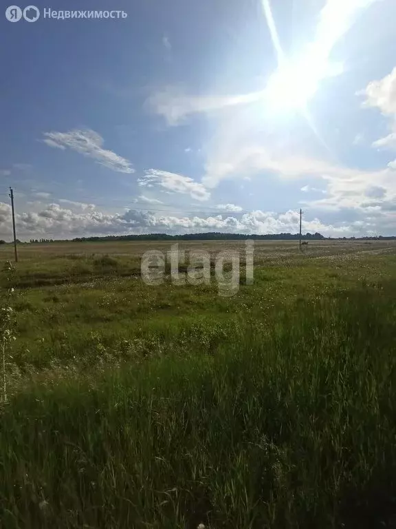 Участок в Алапаевск, Родонитовая улица (12 м) - Фото 1