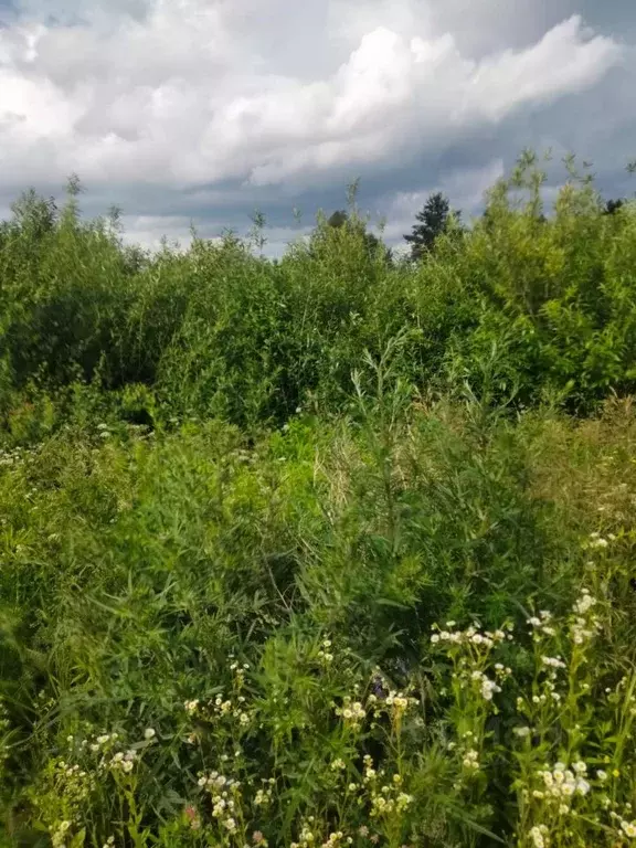 Участок в Калужская область, Перемышльский район, Большие Козлы с/пос, ... - Фото 1