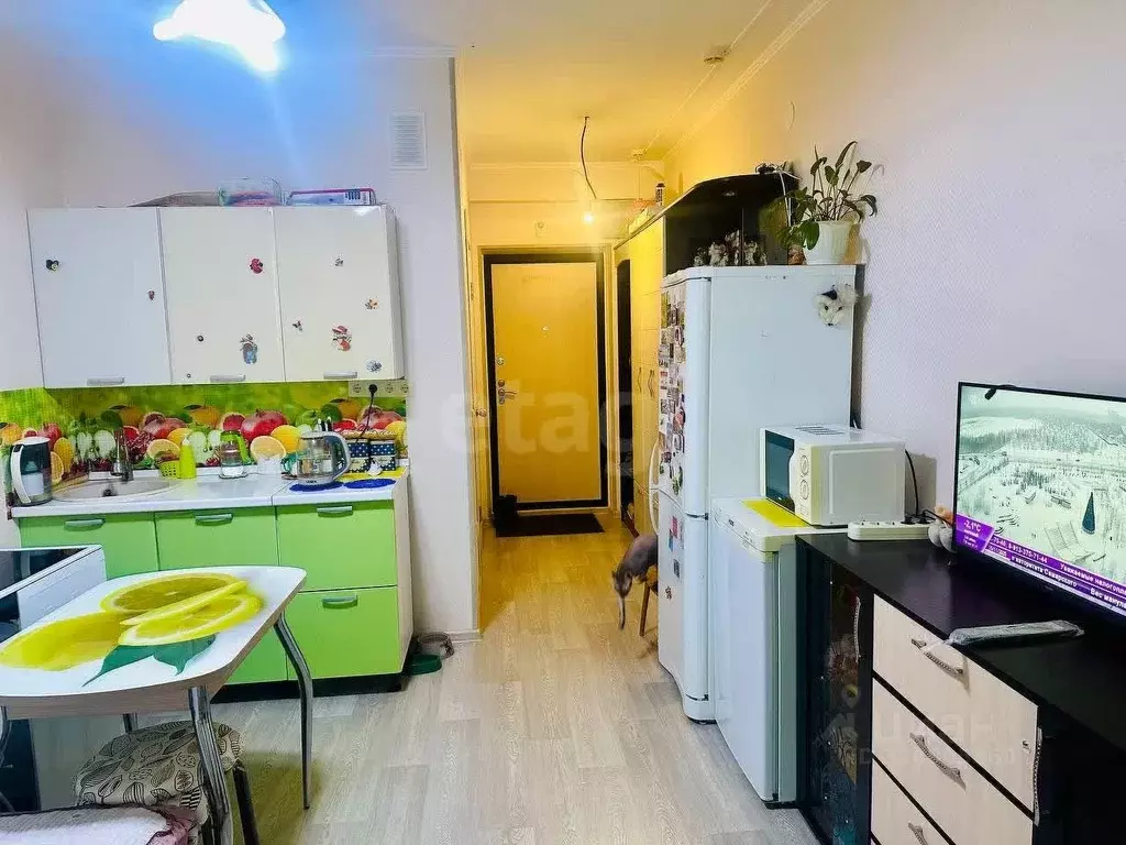 Студия Ямало-Ненецкий АО, Новый Уренгой Дружба мкр, 4/2 (20.3 м) - Фото 1