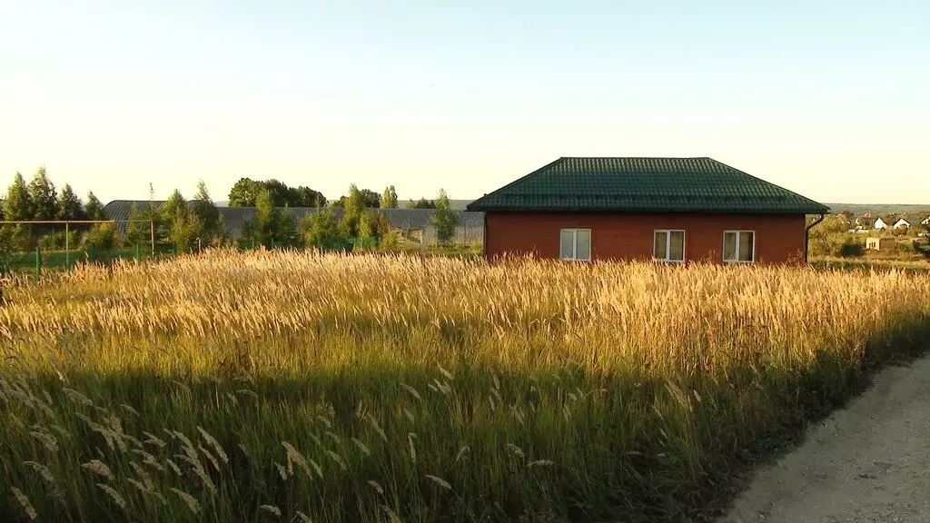 Участок в Пензенский район, Алферьевский сельсовет, село Алферьевка ... - Фото 1