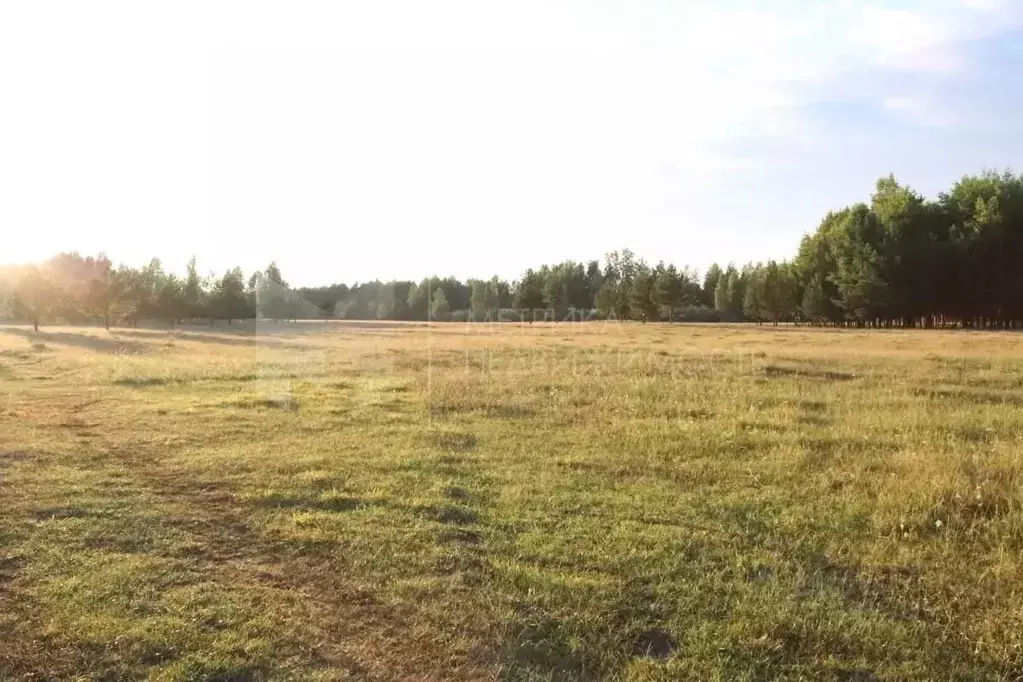 Участок в Тюменская область, Нижнетавдинский район, д. Московка  ... - Фото 0