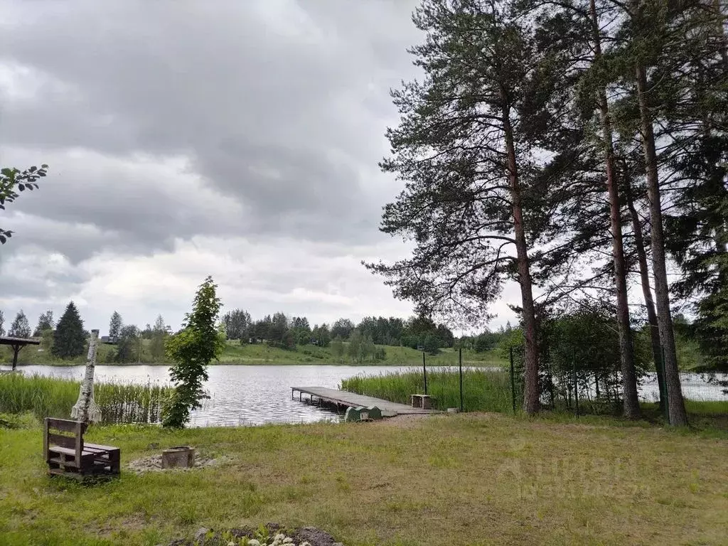 Дом в Псковская область, Псковский район, Торошинская волость, д. ... - Фото 1