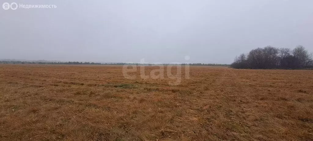 Участок в село Огневское, улица Согласия (6 м) - Фото 2