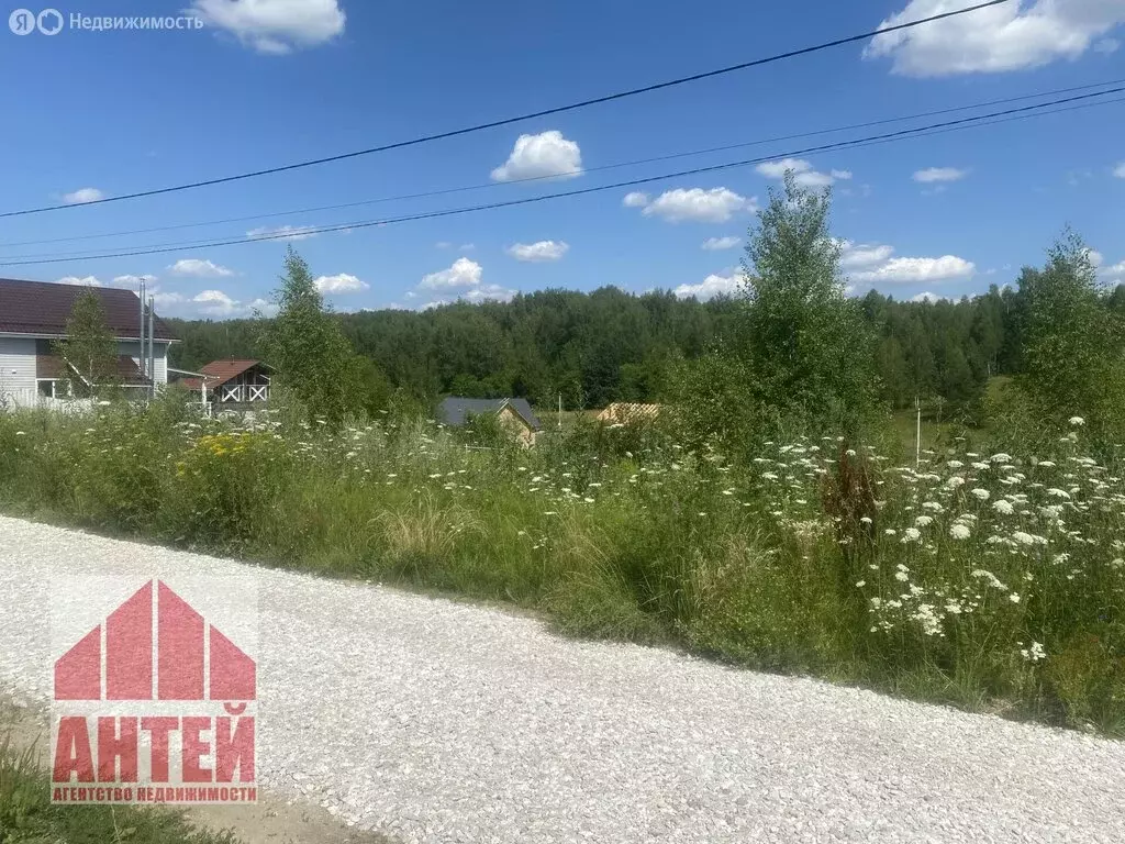 Участок в Нижегородская область, Павловский муниципальный округ, ... - Фото 1
