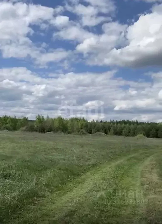 Участок в Белгородская область, Старооскольский городской округ, с. ... - Фото 1