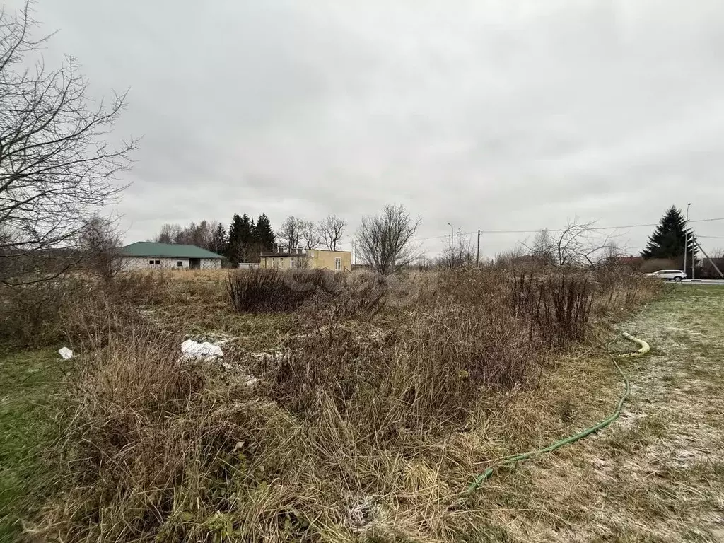 Участок в Калининградская область, Гурьевский муниципальный округ, ... - Фото 2