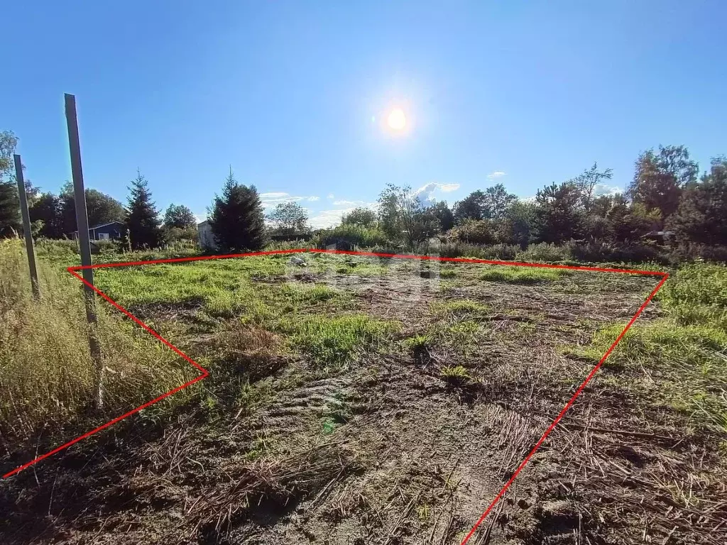 Участок в Московская область, Клин городской округ, д. Лаврово ул. ... - Фото 1