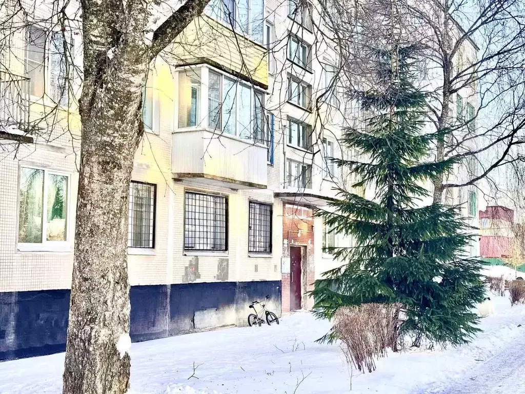 3-к кв. Ленинградская область, Ломоносовский район, Лопухинское с/пос, ... - Фото 2