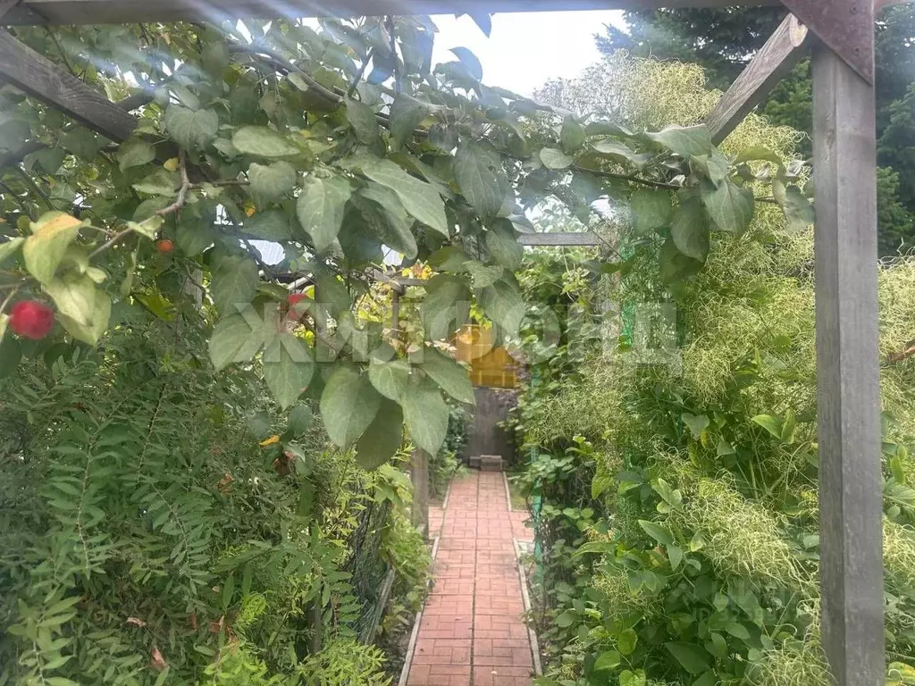 Дом в Новосибирская область, Новосибирский район, Кудряшовский ... - Фото 1