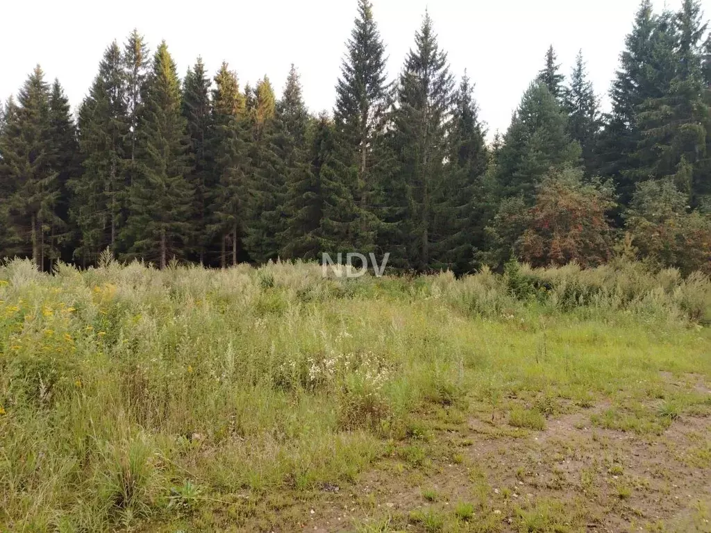 Участок в Москва № 55 кв-л, 191 (8.0 сот.) - Фото 1