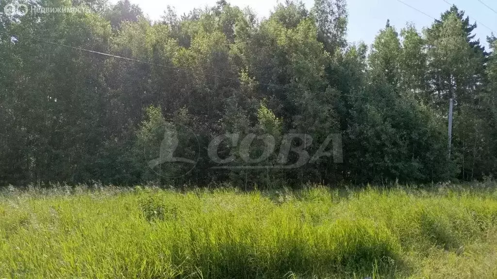 Участок в Нижнетавдинский район, село Тюнево (10 м) - Фото 1