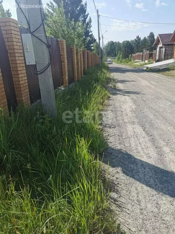 Участок в Новосибирская область, Коченёвский муниципальный район, ... - Фото 2