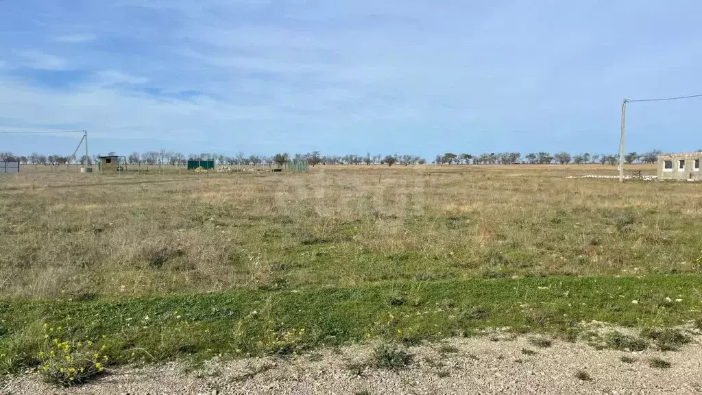 Участок в Крым, Черноморский район, с. Межводное ул. Дружбы (10.0 ... - Фото 1