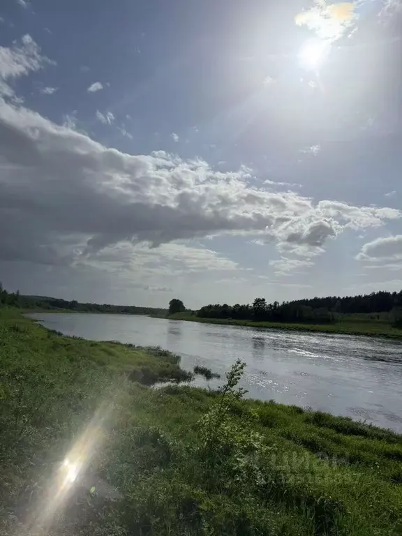 Участок в Тверская область, Старицкий муниципальный округ, д. Улитино  ... - Фото 2