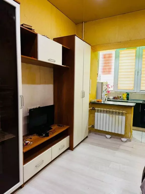 Студия Ростовская область, Ростов-на-Дону Кузнечная ул., 115 (19.5 м) - Фото 2