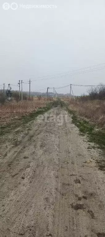 Участок в Калининградская область, Зеленоградский муниципальный округ, ... - Фото 1
