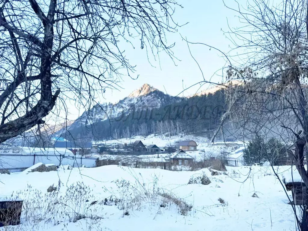 Участок в Алтай, Чемальский район, Узнезинское с/пос, с. Узнезя ул. ... - Фото 2