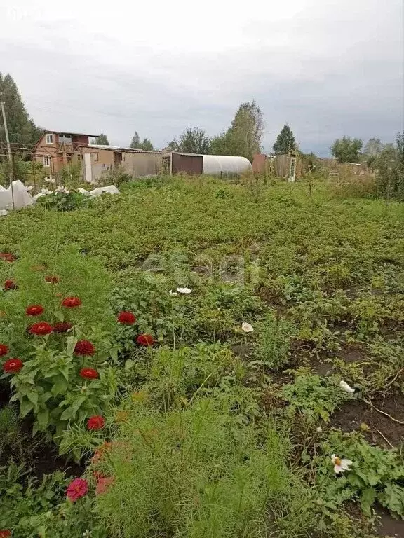 Участок в Бердск, СНТ Марьин Лог, 26-я улица (5.9 м) - Фото 0