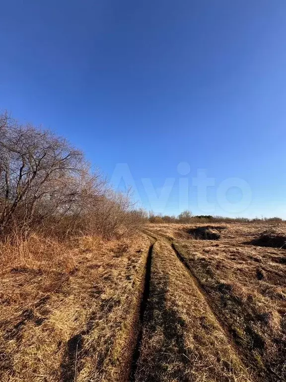 Участок 8,6 сот. (СНТ, ДНП) - Фото 1