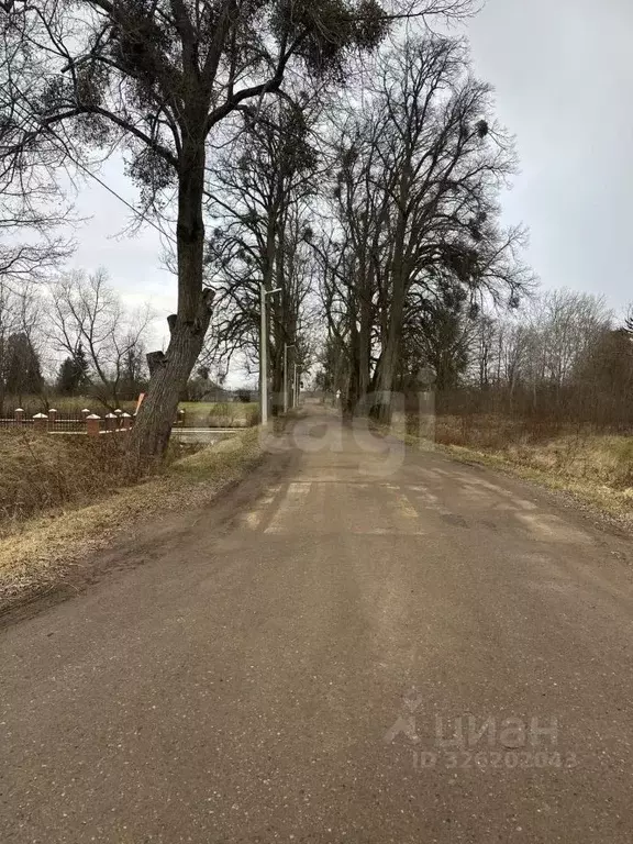 Участок в Калининградская область, Гвардейский муниципальный округ, ... - Фото 1