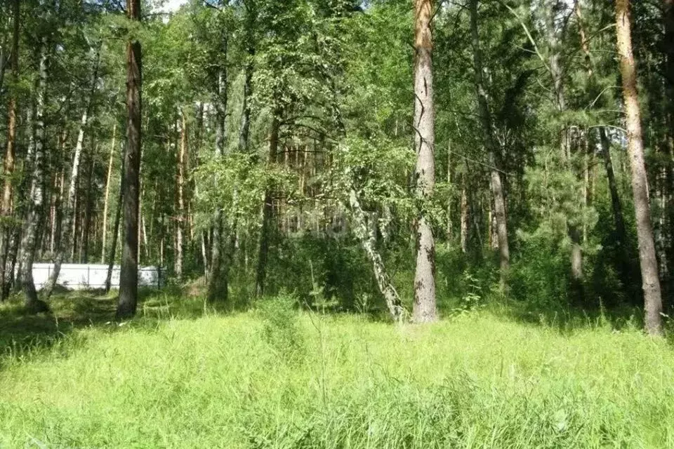 Участок в Московская область, Одинцовский городской округ, пос. ... - Фото 0