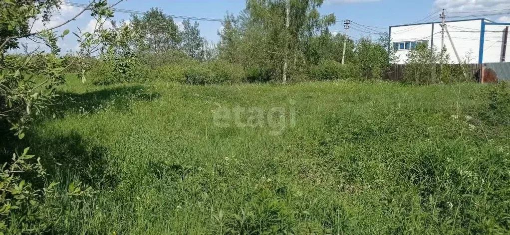 Участок в Московская область, Богородский городской округ, с. ... - Фото 1