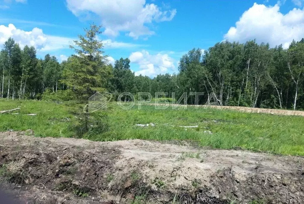 Участок в Тюменская область, Нижнетавдинский район, с. Тюнево  (8.0 ... - Фото 1