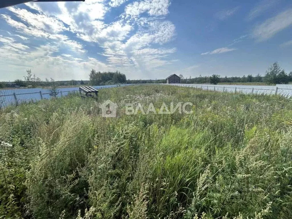 Участок в Владимирская область, Гусь-Хрустальный район, Анопино ... - Фото 1