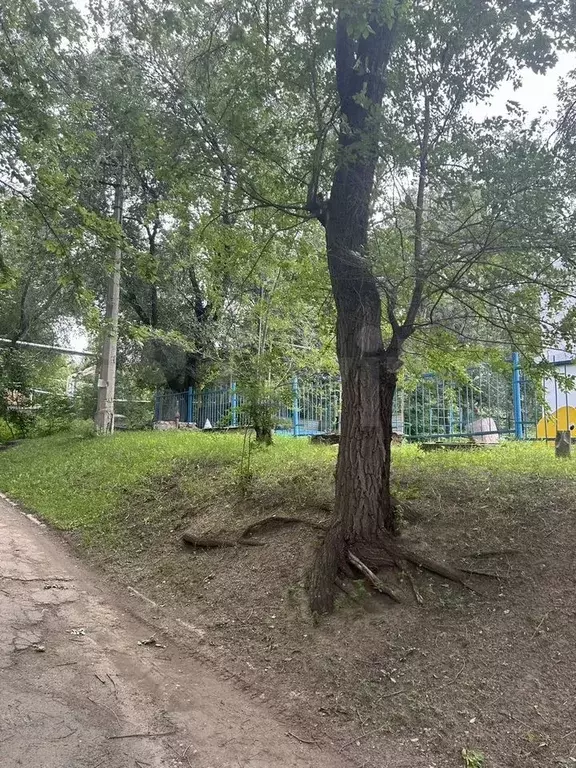 Комната 20,6 м в 3-к., 3/3 эт. - Фото 1