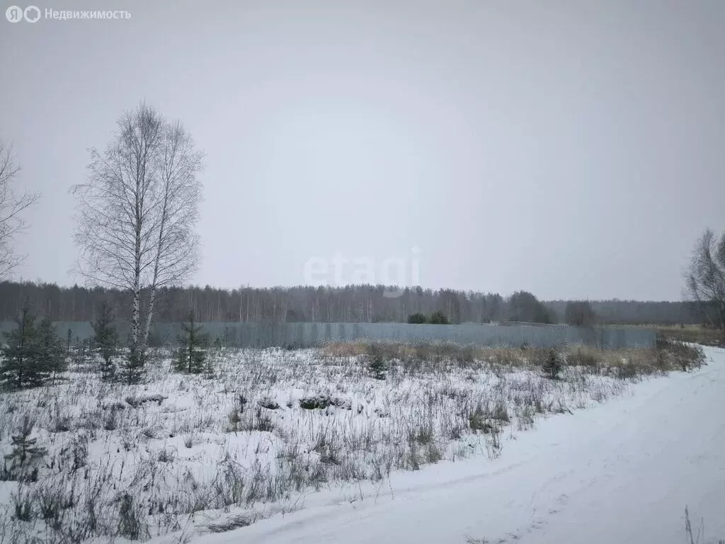 Участок в округ Муром, деревня Михайлово, Центральная улица (200 м) - Фото 1